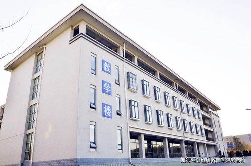 2021年山东省治安学专业本科有哪个学校可以报名 成人高考报名条件