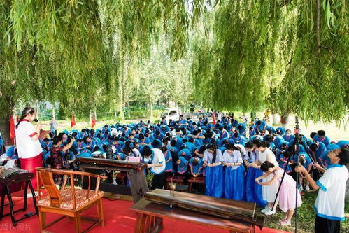 成考与自考 招远成人高考如何选择以提升就业竞争力